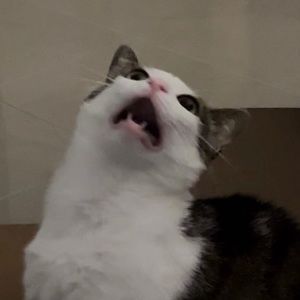 Meet your Posher, Karlee